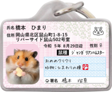 Daydream Labのプレスリリース画像6