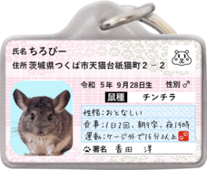 Daydream Labのプレスリリース画像7