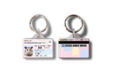 Daydream Labのプレスリリース画像3