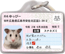 Daydream Labのプレスリリース画像1