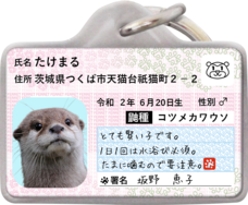 Daydream Labのプレスリリース画像8