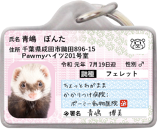 Daydream Labのプレスリリース画像9