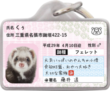 Daydream Labのプレスリリース画像7