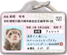 Daydream Labのプレスリリース画像1