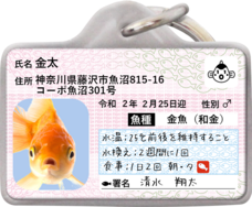 Daydream Labのプレスリリース画像1