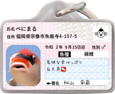 Daydream Labのプレスリリース画像7