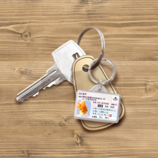 Daydream Labのプレスリリース画像8