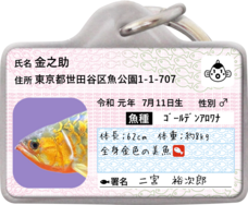 Daydream Labのプレスリリース画像6