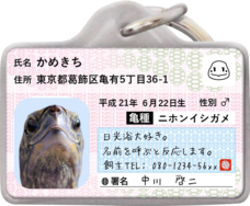 Daydream Labのプレスリリース画像1