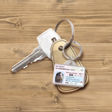 Daydream Labのプレスリリース画像3