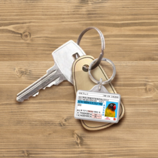 Daydream Labのプレスリリース画像4