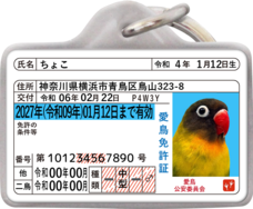 Daydream Labのプレスリリース画像1