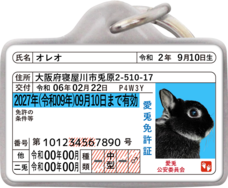 Daydream Labのプレスリリース画像1