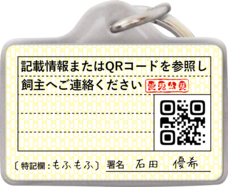 Daydream Labのプレスリリース画像2