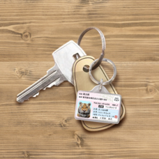 Daydream Labのプレスリリース画像7