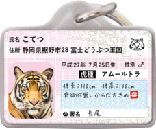 Daydream Labのプレスリリース画像3