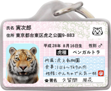 Daydream Labのプレスリリース画像1