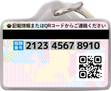 Daydream Labのプレスリリース画像3