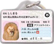 Daydream Labのプレスリリース画像1