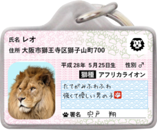 Daydream Labのプレスリリース画像2