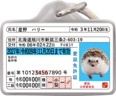 Daydream Labのプレスリリース画像1