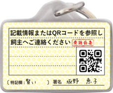 Daydream Labのプレスリリース画像2