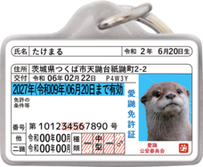 Daydream Labのプレスリリース画像1