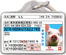 Daydream Labのプレスリリース画像1