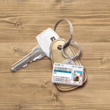 Daydream Labのプレスリリース画像4