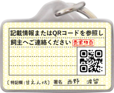 Daydream Labのプレスリリース画像2