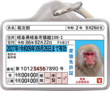 Daydream Labのプレスリリース画像1