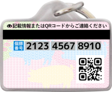 Daydream Labのプレスリリース画像2