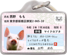 Daydream Labのプレスリリース画像1