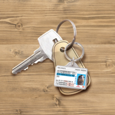 Daydream Labのプレスリリース画像4