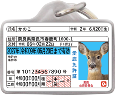 Daydream Labのプレスリリース画像1