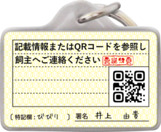 Daydream Labのプレスリリース画像2