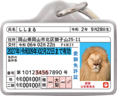 Daydream Labのプレスリリース画像1