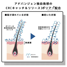 株式会社アドバンジェンのプレスリリース画像3