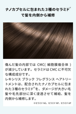 株式会社アドバンジェンのプレスリリース画像2