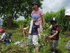 一般社団法人東近江市観光協会のプレスリリース画像3
