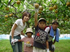 一般社団法人東近江市観光協会のプレスリリース画像4