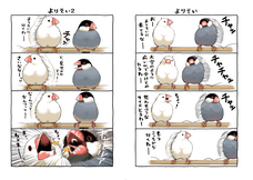 株式会社イースト・プレスのプレスリリース画像5