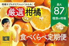 株式会社みかんのプレスリリース画像1