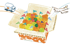 株式会社みかんのプレスリリース画像3