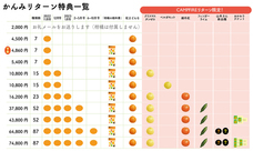 株式会社みかんのプレスリリース画像10
