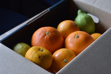 株式会社みかんのプレスリリース画像5