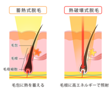 医療法人社団ミサズメディカルのプレスリリース画像3