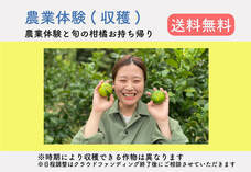 ふじやファームのプレスリリース画像4