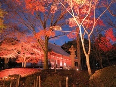 総本山醍醐寺のプレスリリース画像2