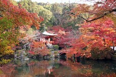 総本山醍醐寺のプレスリリース画像1